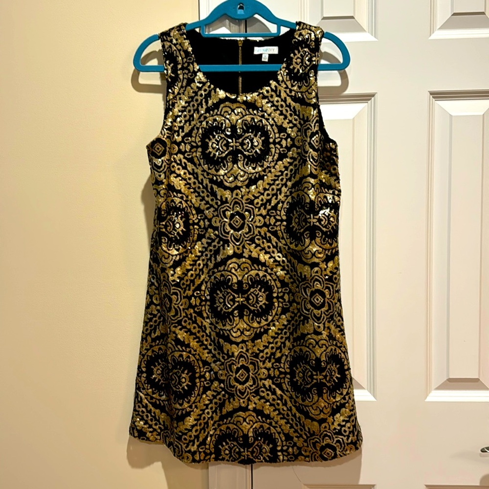Holiday Shimmery Party Dress
